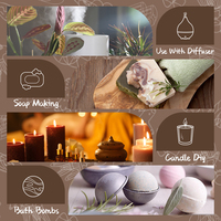 HL-Essential Oils Set Fabricant, TOP 6/10ML Bakery Fragrance Oil Set pour la fabrication de savon à bougie parfumée, Diffuseur d'aromathérapie
