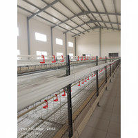 Vente Flash : Cage à Batteries Entièrement Automatique pour l'Élevage de Poulets de Chair – Grande Ferme Avicole, Capacité de Plus de 50 000 Poulets