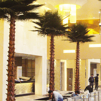 Palmiers artificiels d'intérieur Phoenix canariensis préservés pour l'exportation au Canada