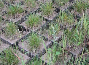 Phát triển cơ sở hạ tầng bền vững khai thác sức mạnh của geocells HDPE 50-440mm 150-440mm kiểm soát đất trên đường - Product Image 6