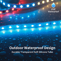 Gouly oem odm decoración al aire libre color de ensueño tira led aplicación de control IP68 impermeable ucs2904 rgbw tira led