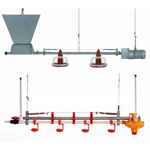 Nuevo Equipo de Alimentación Automática de Plástico para Avicultura, Sistema de Comederos para Pollos de Engorde - Product Image 6