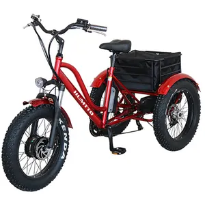 20inch scooter powerful motorcycle fat 500w differiential motor 3 wheel adult other motorized electric tricycles