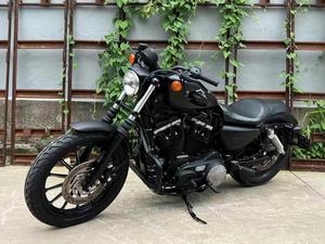 Motocicleta Harley-Davidson 883 de 800 cc, Cruiser, Bicilíndrica, Refrigerada por Agua, con Inyección Electrónica de Combustible, Estilo Clásico, Homologada para Circular por la Calle, 80 km/h, Fabricada en Jiangsu - Product Image 4