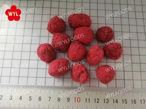 Framboises <span class=keywords><strong>surgelées</strong></span> biologiques IQF en gros - Product Image 5