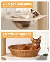 Griffoir pour chat en bois réglable en hauteur, du sol au plafond, pour chats d'intérieur
