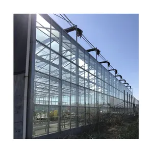 Vendas diretas de fábrica, tamanho grande casa verde de vidro inteligente com sistema de cultivo hidropônico