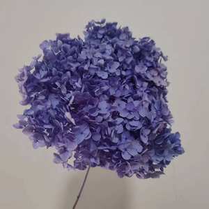 Vente d'usine fait à la main Real Touch stabilisé vert foncé <span class=keywords><strong>hortensia</strong></span> <span class=keywords><strong>fleurs</strong></span> conservées pour la décoration intérieure longue durée 3-5 ans - Product Image 3