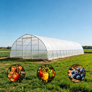 <span class=keywords><strong>Serre</strong></span> agricole chinoise multi-travées de grande taille à faible coût avec structure en acier galvanisé et couverture en PE - Product Image 1