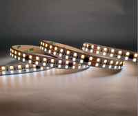 Bande lumineuse LED blanche double SMD 2835 240LED DMX512/UCS512B3 Pixel avec commande vocale en cuivre et mode DMX
