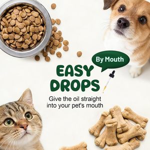 Multivitamines liquides pour chiens OEM, collagène, huile de poisson, formule quotidienne super enrichie pour chats, soutien articulaire, digestif, allergique, immunitaire, cutané, pelliculaire et urinaire - Product Image 6