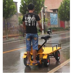 Transport électrique plat, damier avec bonne fortune et meilleur service, cargo plat - Product Image 4