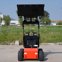 Mini chargeuse compacte diesel chinoise Support multifonction derrière la chargeuse sur chenilles Skid Steer