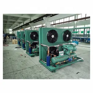 Refregeração do armazenamento frio de fábrica, conjunto de armazenamento frio, compressor refrigerado a ar
