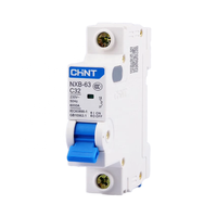 Matériel de cuivre durable de mini disjoncteur de série NXB-63 de Chint avec des options NXB-63 de 1P C32