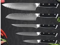 Ensemble de couteaux de chef japonais à 67 couches avec lames en acier à haute teneur en carbone, manches G10, qualité boucher