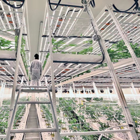 Étagère de culture verticale mobile à double niveau, double face, pour la production commerciale de plantes d'intérieur