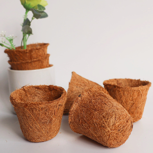 Macetas Biodegradables Ecológicas de Coco para Viveros, Macetas para Flores, Macetas para Germinación, Macetas para Plántulas - Product Image 3