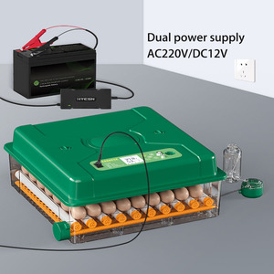 <span class=keywords><strong>Machine</strong></span> à couver automatique de 36 œufs de poule Mini incubateur d'œufs Volaille - Product Image 5