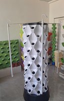Serre agricole pour la culture d'herbes/fleurs/légumes en intérieur, jardinage sans terre, tour hydroponique verticale, jardinières