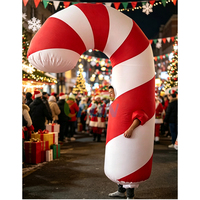 Costume de Clown Gonflable Géant pour Défilés, Mascotte Gonflable pour Carnaval, Événements de Rue et Publicité