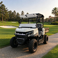 Voiturette de golf électrique avec toit solaire, 2 places, sièges aux couleurs personnalisables et batterie au lithium 48V/72V en option