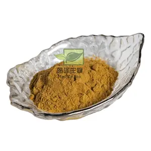 Chinese Herb Amur Cork Tree Bark Extract Phellodendron Amurense Bark Extract