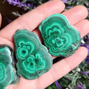 Spécimen minéral vert brut de petite taille 30-600g Pierre à énergie polie de poche Pierre de palmier naturelle Tranches de malachite - Product Image 5