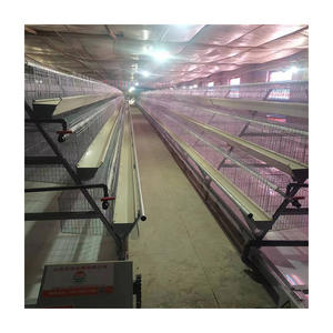 Otomatik 48/160 ile katmanlı tavuk kafesleri kuş <span class=keywords><strong>4</strong></span> katlı yüksek kaliteli katman a tipi yemleme ekipmanları - Product Image 4