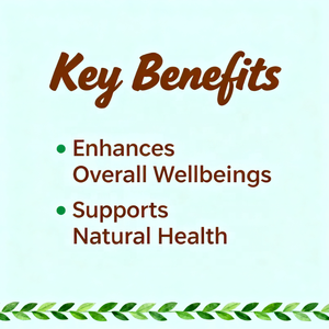 Capsules de complexe de champignons de marque privée supplément de champignons multi en un pour le soutien de la santé cérébrale et l'amélioration de la vitalité - Product Image 3