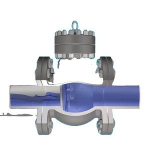 Válvula de Retención de Oscilación C-Way CS para Aceite a Alta Temperatura con Sellos de PTFE/EPDM, Operación Manual, 2 Pulgadas, Clase 150, Extremo con Brida para Australia - Product Image 4