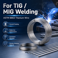 Fil de titane GR1 GR2 ASTM B863 pour soudage TIG MIG, usinage CNC, laboratoire industriel, découpe sur mesure, OEM