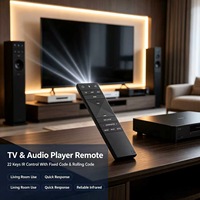 Control Remoto IR de 22 Teclas con Código Fijo y Código Variable para TV, Reproductor de Audio, Decodificador y Subtítulos