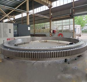 Rodamientos de Rodillos de Tres Hileras para Maquinaria de Construcción <span class=keywords><strong>RKS</strong></span>.062.30.1754 Grúa Marina - Product Image 2