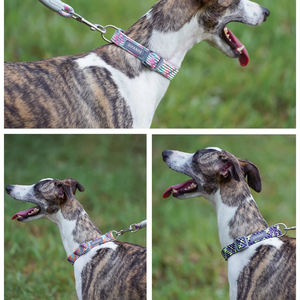 Kerah anak anjing dapat diatur, sedang besar untuk cincin Choker anjing tahan lama reflektif nilon hewan peliharaan kerah kucing bernapas Bulldog Harness - Product Image 3