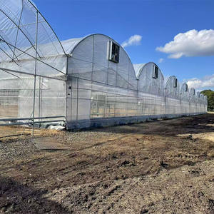 Invernadero agrícola Agrícola <span class=keywords><strong>de</strong></span> policarbonato <span class=keywords><strong>de</strong></span> vidrio con película <span class=keywords><strong>de</strong></span> túnel comercial multitramo con <span class=keywords><strong>semillero</strong></span> para tomate <span class=keywords><strong>fresa</strong></span> - Product Image 3