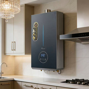 Scaldabagno Istantaneo a <span class=keywords><strong>Gas</strong></span> ed Elettrico in Acciaio Inossidabile con Display LED e Temperatura Costante per Uso Domestico - Vendita all'Ingrosso dalla Fabbrica - Product Image 6