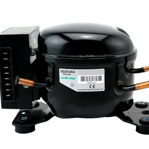 Compresor de refrigerador de coche Bldc, 12 V/24V de CC