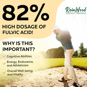 Shilajit蜂蜜树脂喜马拉雅Shilajit蜂蜜麦卢卡蜂蜜有机Shilajit树脂 - Product Image 5