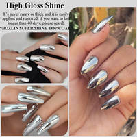Fournisseur OEM de gel à ongles BOZLIN 5ml Gel à ongles métallique haute densité couleur argent miroir chrome 3D