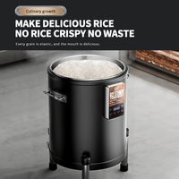 Cuiseur à riz électrique professionnel Winners en acier inoxydable épaissi, grande capacité 45L, pour restaurant et cantine