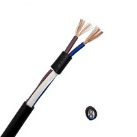 Cable Eléctrico Flexible de PVC de Bajo Voltaje RVV de 2 Núcleos y 1.0 mm², Cable de Cobre para Suministro de Energía y Cableado General