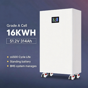 แบตเตอรี่โซลาร์ไฮบริดแบบตั้งพื้น 51.2V 314Ah 16KWh ออลอินวัน แนวตั้ง พร้อมอายุการใช้งาน 8000 รอบ สำหรับจ่ายไฟฟ้าในที่อยู่อาศัย - Product Image 1