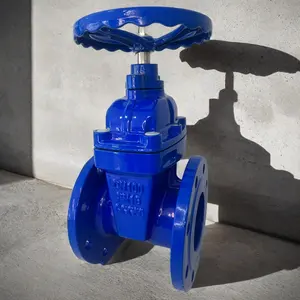 Factory OEM F4 Resilient Seated Ductile Iron Body Gate Valve DN100 Ductile Iron DI Hand Wheel Gate Valve