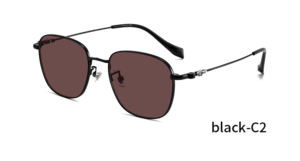 Lunettes de soleil en titane unisexes polarisées UV400 rondes vintage noires légères rétro confortables à monture intégrale pour l'extérieur - Product Image 2