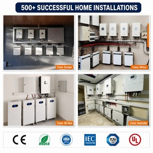 Sistema de Almacenamiento de Energía Solar para el Hogar con Baterías Ess, 10kWh, 15kWh, 20kWh, Todo en Uno, <span class=keywords><strong>Inversor</strong></span> Híbrido y Paquete de Baterías de Litio Lifepo4 - Product Image 5