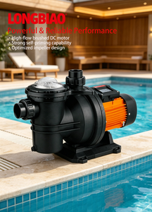 <span class=keywords><strong>Pompe</strong></span> de <span class=keywords><strong>piscine</strong></span> auto-amorçante à énergie <span class=keywords><strong>solaire</strong></span> DC72V Série ZP21 <span class=keywords><strong>pour</strong></span> l'entretien des piscines, sources chaudes, sauna, bain à remous et baignoire de massage - Product Image 4