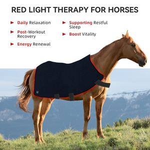 Nuova Coperta Terapeutica Equina a Luce Rossa e Infrarossa 2660LED 660nm 850nm per Collo e Corpo Intero del Cavallo - Product Image 5