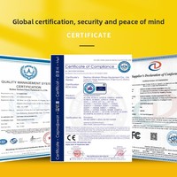 Máquina de Remo de Una Sola Pista con Resistencia al Agua, Silenciosa, Inteligente, para Uso Comercial, Material de PVC, Peso Máximo del Usuario 150 kg, Suministro del Fabricante