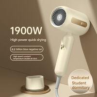 Sèche-cheveux professionnel ionique 1900W à prix d'usine, moteur DC haute vitesse, 3 vitesses, pour salon, hôtel, usage domestique, 200 millions d'ions négatifs